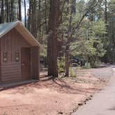 Review photo of Ponderosa Campground (AZ) Tonto National Forest by B O., October 3, 2021