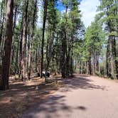 Review photo of Ponderosa Campground (AZ) Tonto National Forest by B O., October 3, 2021