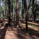 Review photo of Ponderosa Campground (AZ) Tonto National Forest by B O., October 3, 2021