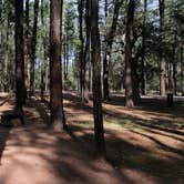 Review photo of Ponderosa Campground (AZ) Tonto National Forest by B O., October 3, 2021