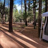 Review photo of Ponderosa Campground (AZ) Tonto National Forest by B O., October 3, 2021