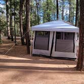 Review photo of Ponderosa Campground (AZ) Tonto National Forest by B O., October 3, 2021