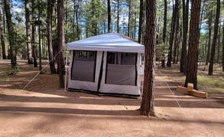 B O.'s photo at Ponderosa Campground (AZ) Tonto National Forest near Payson, AZ