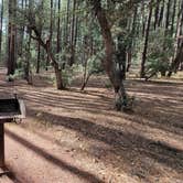 Review photo of Ponderosa Campground (AZ) Tonto National Forest by B O., October 3, 2021