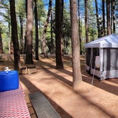 Review photo of Ponderosa Campground (AZ) Tonto National Forest by B O., October 3, 2021