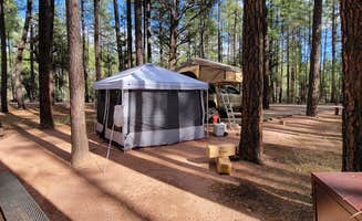 B O.'s photo at Ponderosa Campground (AZ) Tonto National Forest near Sun Valley, AZ