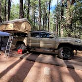 Review photo of Ponderosa Campground (AZ) Tonto National Forest by B O., October 3, 2021