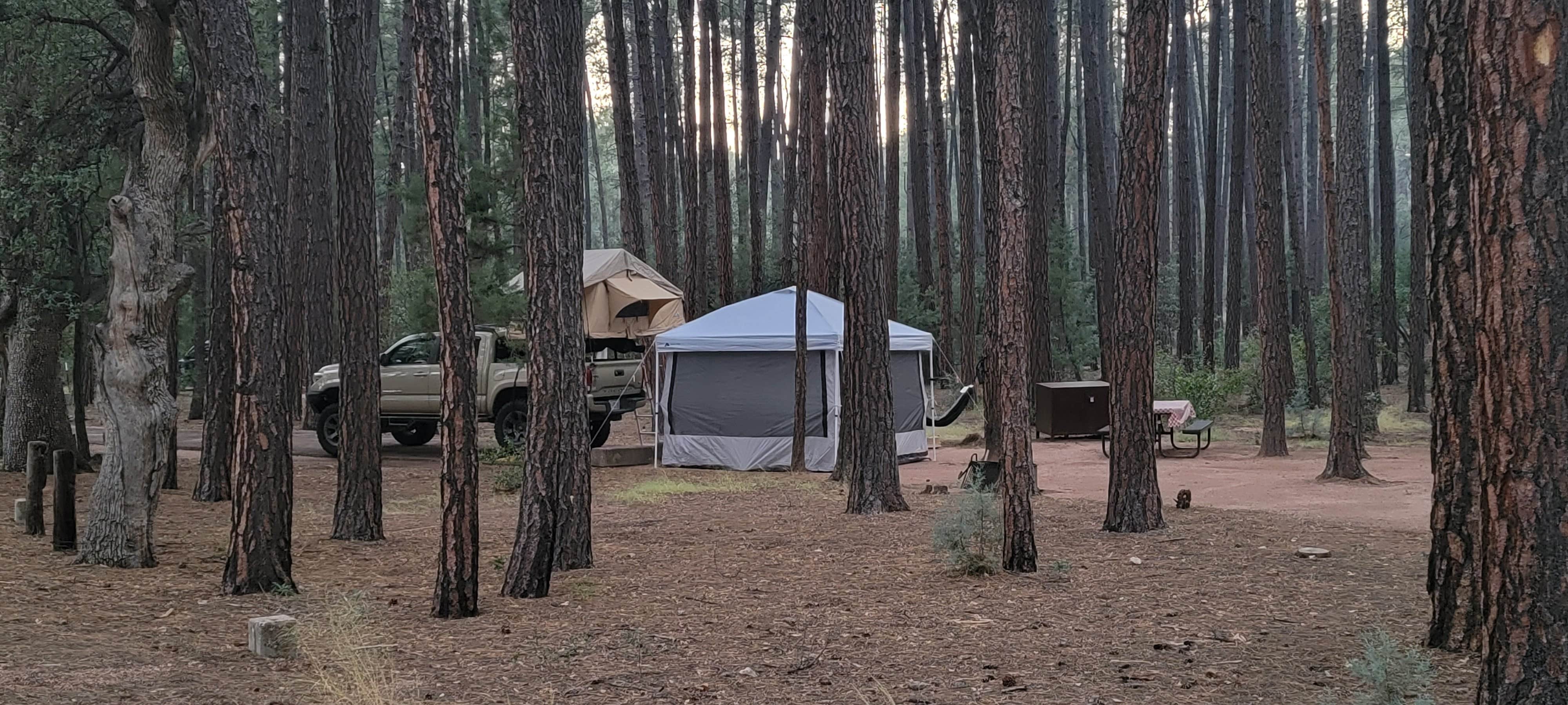B O.'s photo at Ponderosa Campground (AZ) Tonto National Forest near Payson, AZ