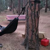 Review photo of Ponderosa Campground (AZ) Tonto National Forest by B O., October 3, 2021