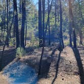 Review photo of Ponderosa Campground (AZ) Tonto National Forest by B O., October 3, 2021