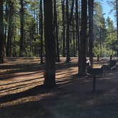 Review photo of Ponderosa Campground (AZ) Tonto National Forest by B O., October 3, 2021