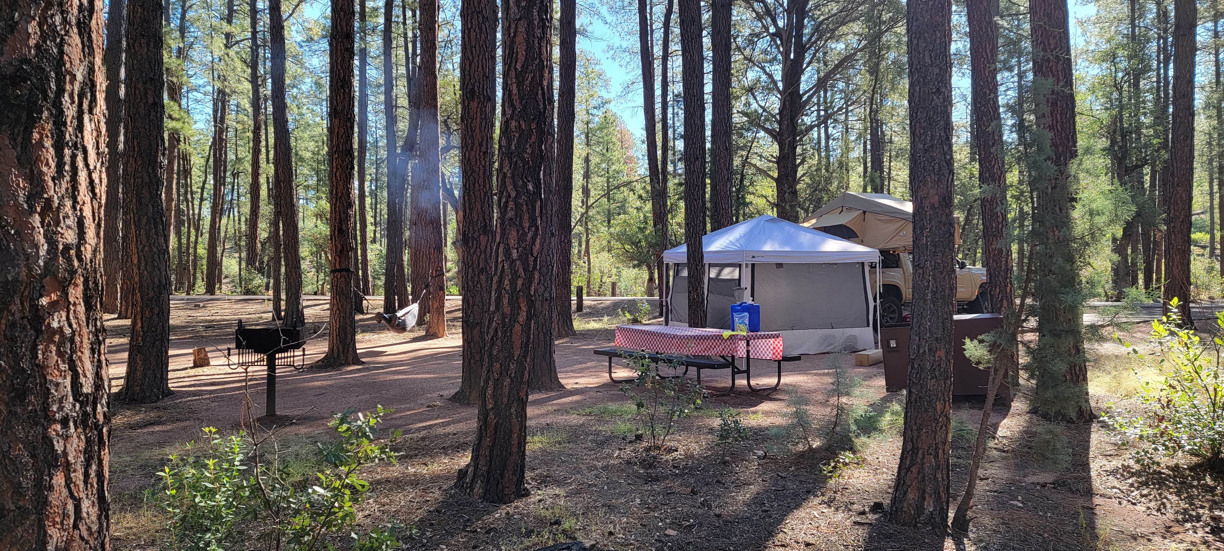 B O.'s photo at Ponderosa Campground (AZ) Tonto National Forest near Payson, AZ
