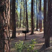 Review photo of Ponderosa Campground (AZ) Tonto National Forest by B O., October 3, 2021