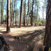 Review photo of Ponderosa Campground (AZ) Tonto National Forest by B O., October 3, 2021