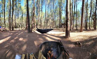 B O.'s photo at Ponderosa Campground (AZ) Tonto National Forest near Sun Valley, AZ