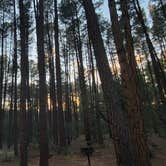 Review photo of Ponderosa Campground (AZ) Tonto National Forest by B O., October 3, 2021