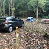 Review photo of Tar Hollow State Park Campground by Anne , October 3, 2021