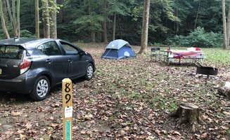 Anne's photo at Tar Hollow State Park Campground near Chillicothe, OH