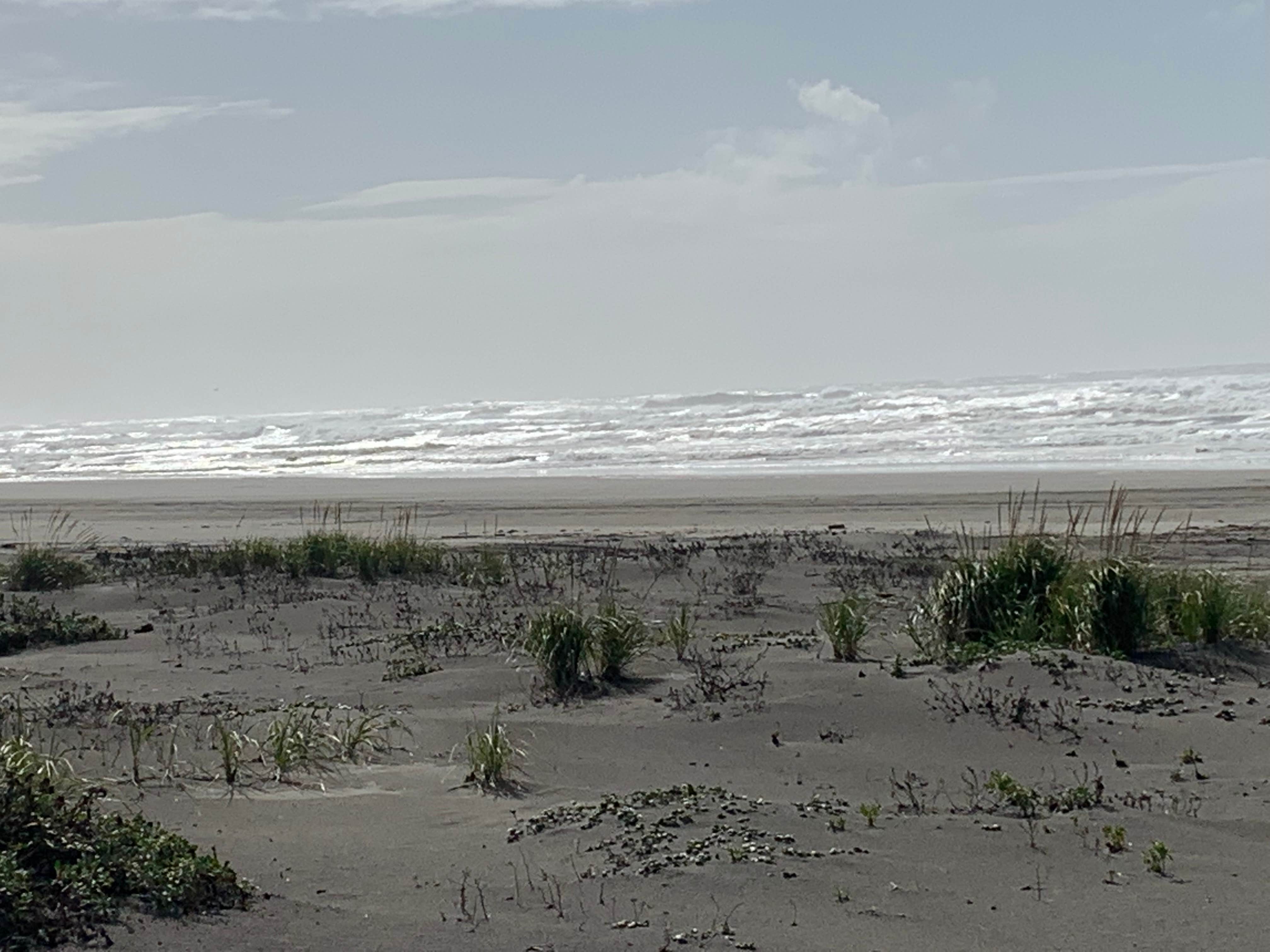 Camper-submitted photo at Pacific Holiday RV Resort near Long Beach, WA