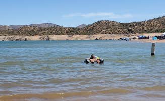 B O.'s photo of a dispersed camping area at SB Cove Shoreline Area near Phoenix, AZ