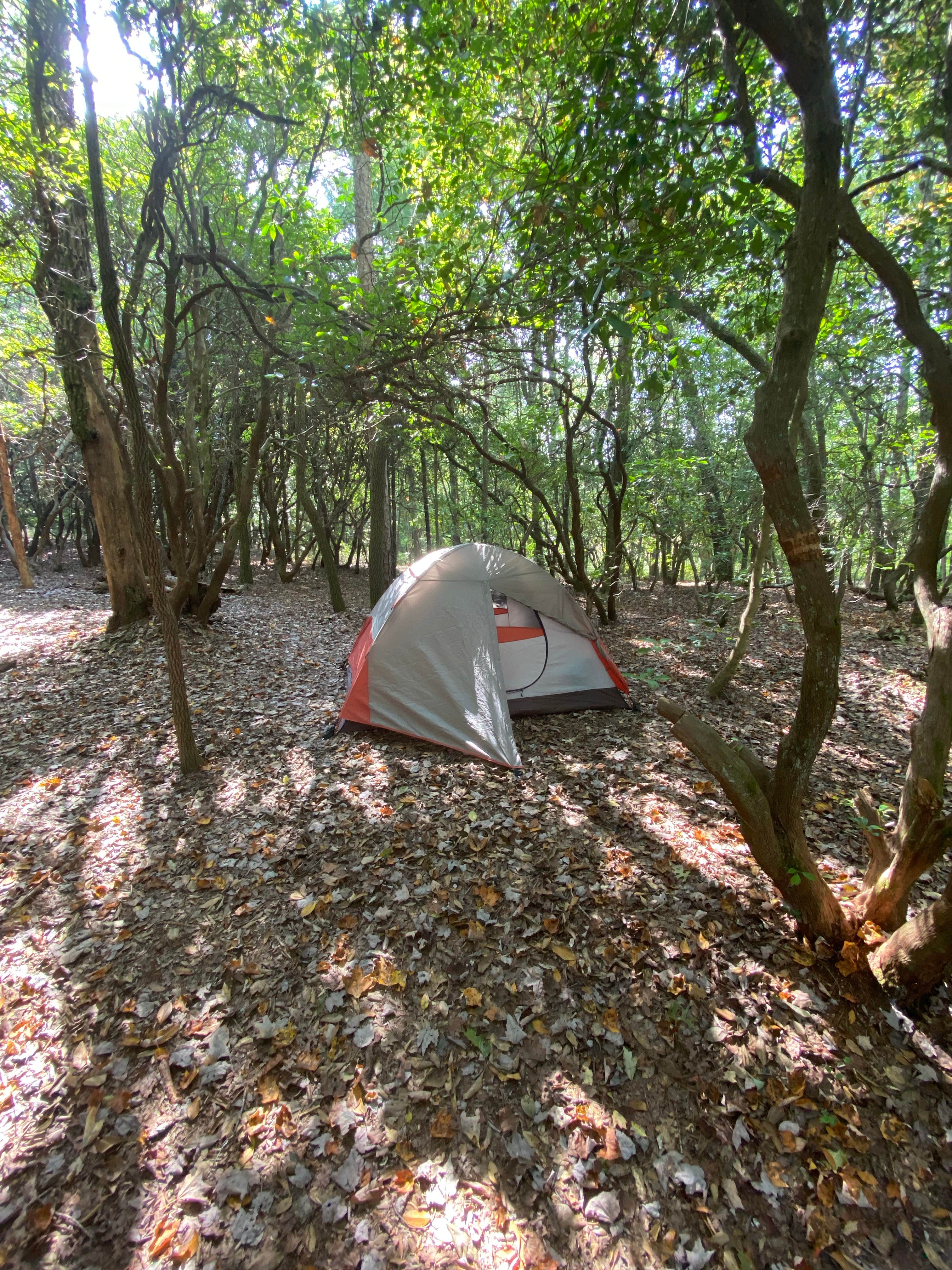 Justin S.'s photo at Oconee State Park Campground near Walhalla, SC