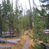 Review photo of 4D2 - Ice Lake East - Yellowstone NP Back Country campsite by Dexter I., October 3, 2021