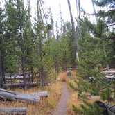 Review photo of 4D2 Yellowstone National Park Backcountry — Yellowstone National Park by Dexter I., October 3, 2021