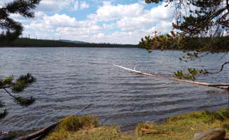 Dexter I.'s photo of a dispersed camping area at 4D2 Yellowstone National Park Backcountry — Yellowstone National Park in Wyoming