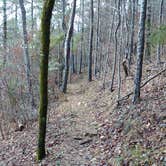 Review photo of Chewacla State Park Campground by Mike V., July 22, 2016