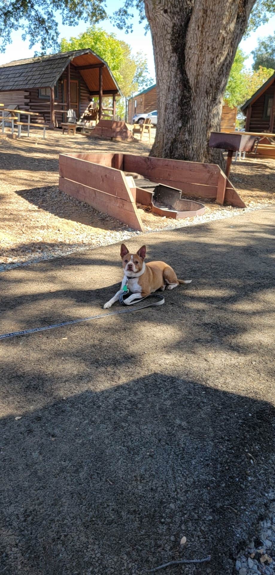 Camper-submitted photo at Angels Camp Campground and RV near Jamestown, CA