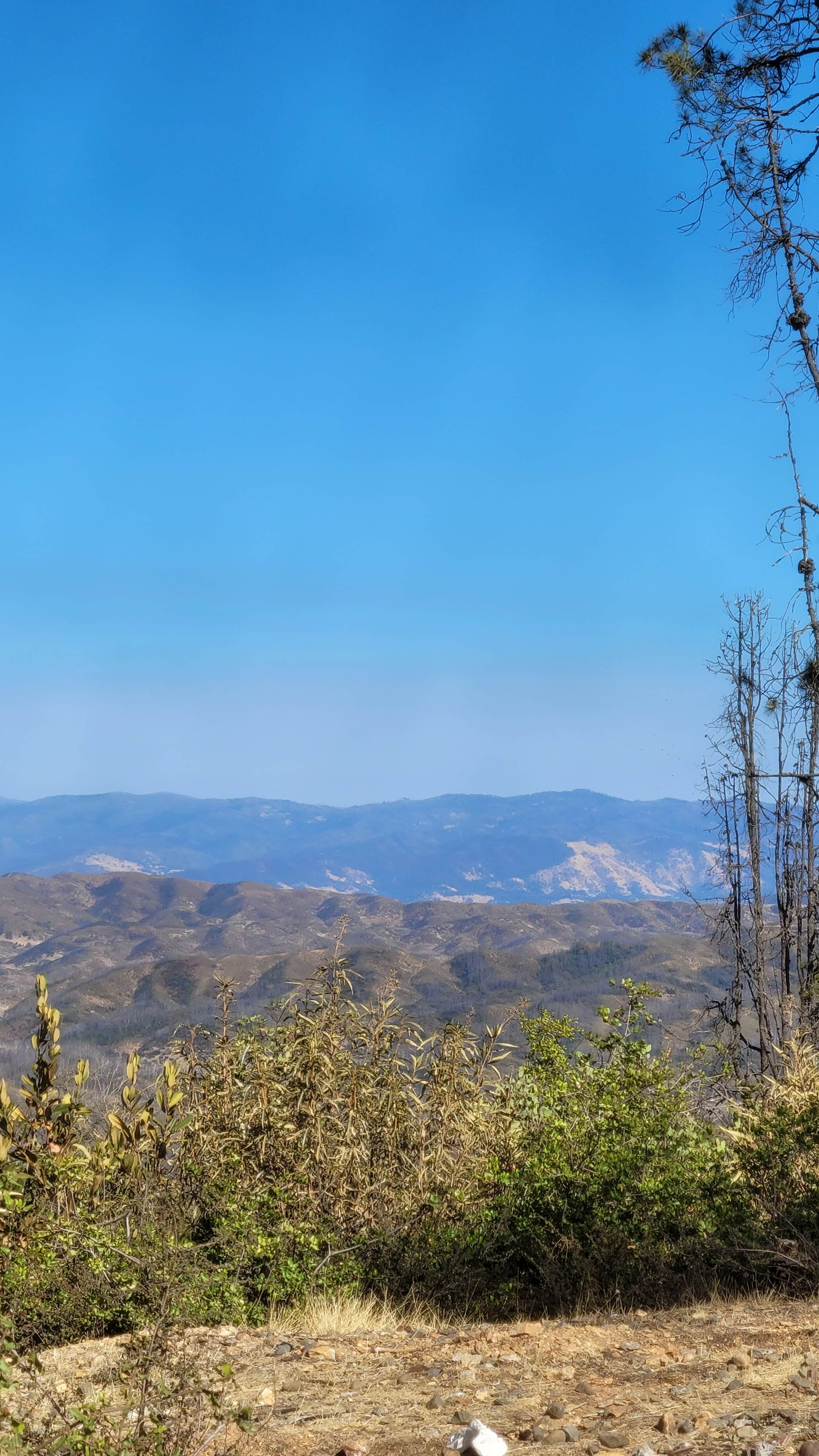 Camper-submitted photo at Red Mountain near Albion, CA