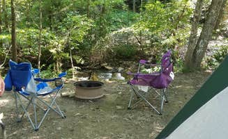 Dori S.'s photo at Catawba Falls Campground - TEMPORARILY CLOSED 2025 in North Carolina