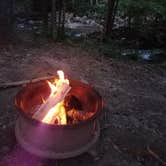 Review photo of Catawba Falls Campground by Dori S., July 2, 2018