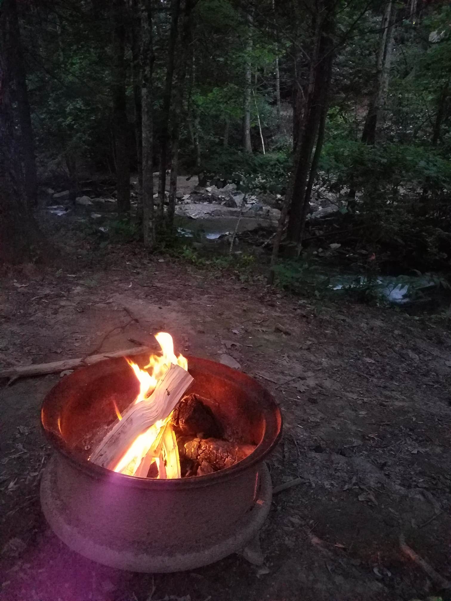 Camper submitted image from Catawba Falls Campground - TEMPORARILY CLOSED 2025 - 3