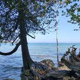Review photo of Newport State Park Campground by Adam S., October 4, 2021