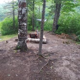 Review photo of Porcupine Mountains Backcountry Camping — Porcupine Mountains Wilderness State Park by Adam S., October 4, 2021