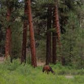 Review photo of Oregon Mine Campground by Patty R., July 2, 2018