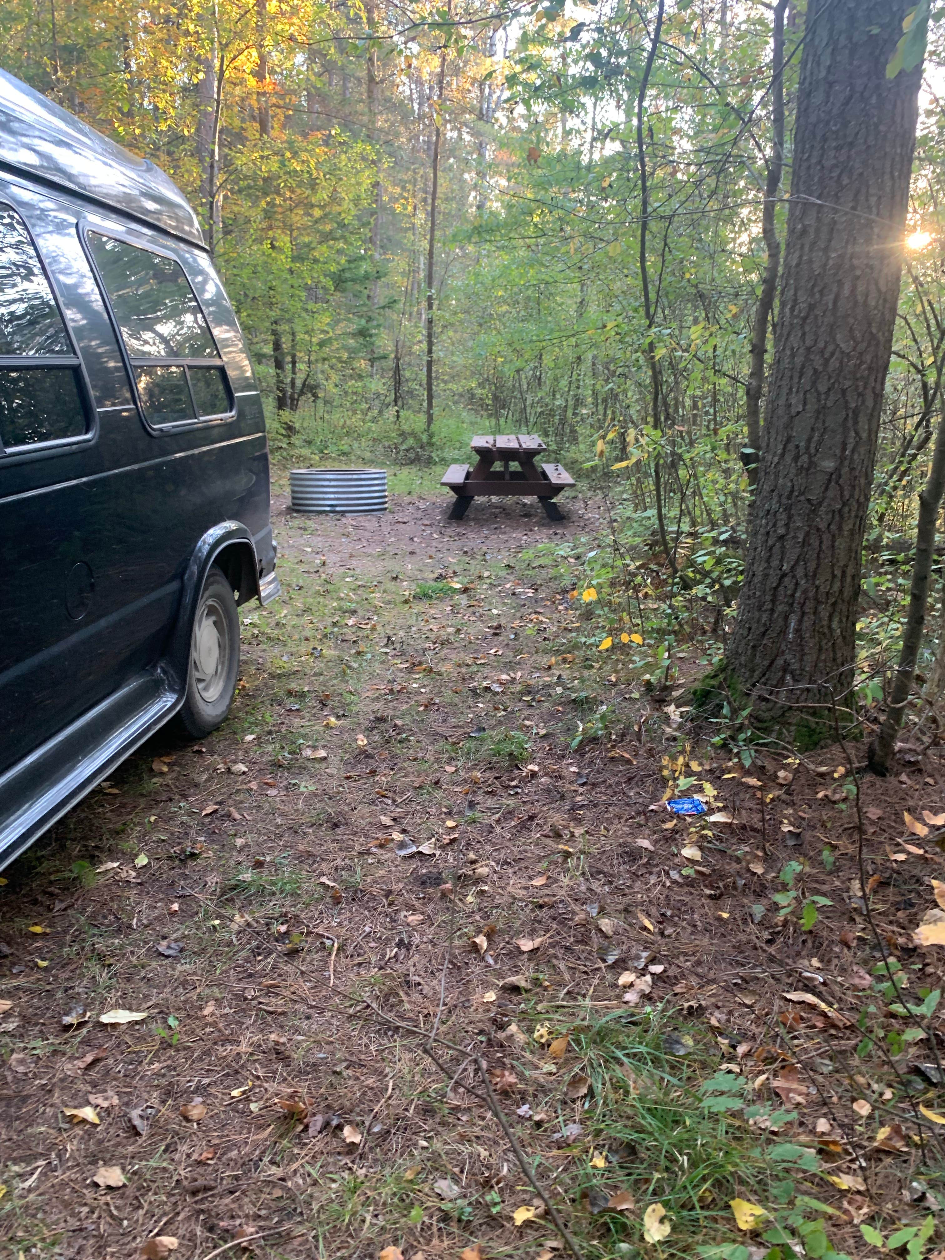 Camper submitted image from Pigeon River State Forest Campground - 4