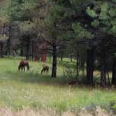 Review photo of Oregon Mine Campground by Patty R., July 2, 2018