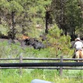 Review photo of Oregon Mine Campground by Patty R., July 2, 2018