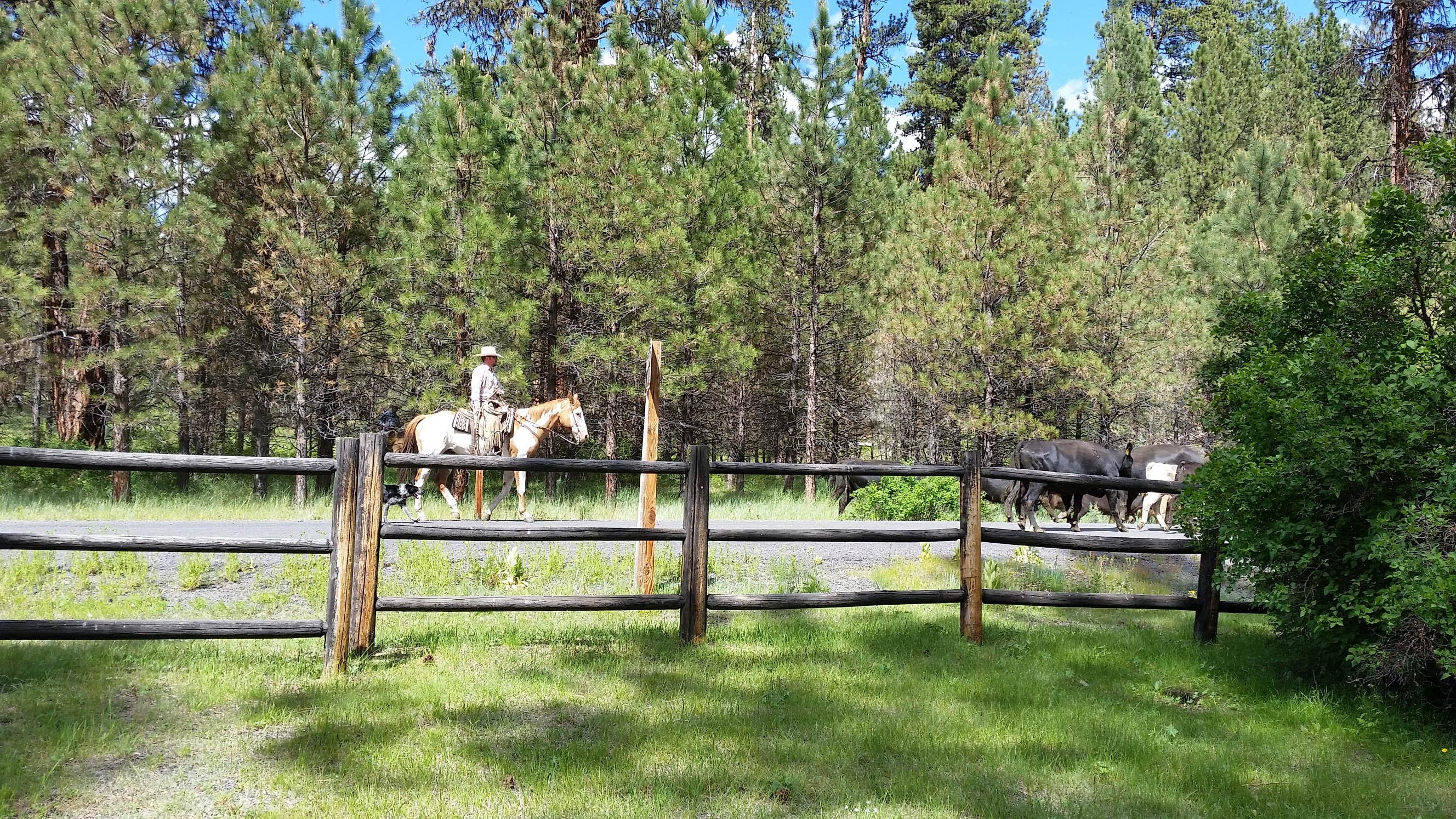 Camper-submitted photo at Oregon Mine Campground near Kimberly, OR