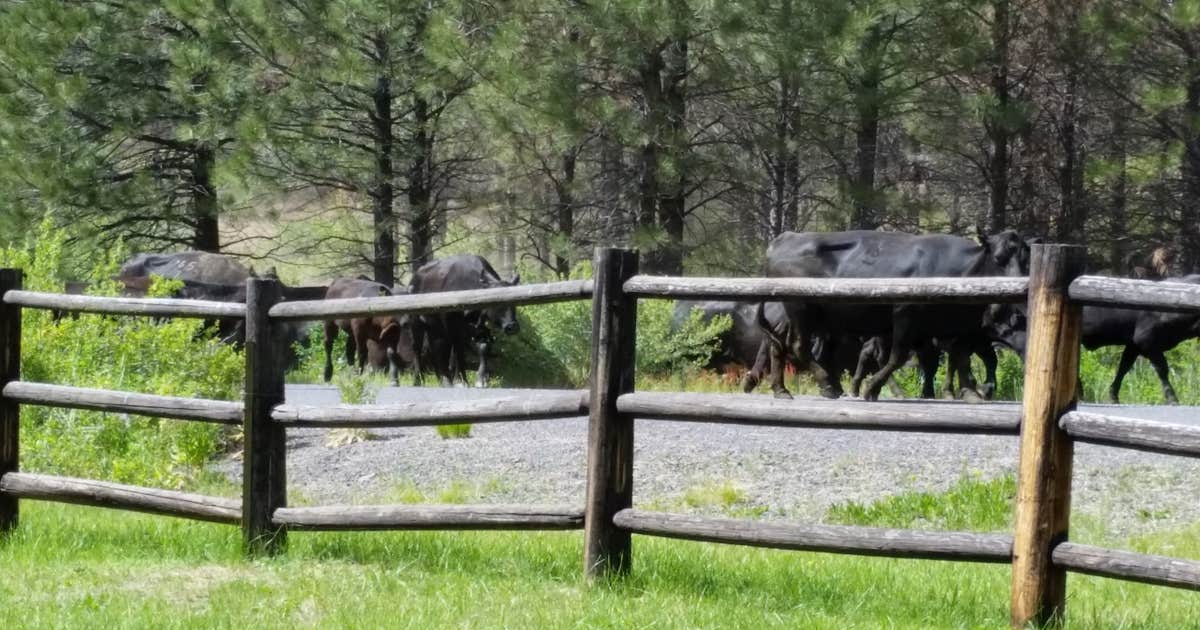 Oregon Mine Campground
