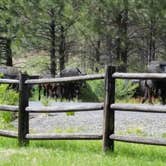 Review photo of Oregon Mine Campground by Patty R., July 2, 2018