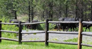 Oregon Mine Campground