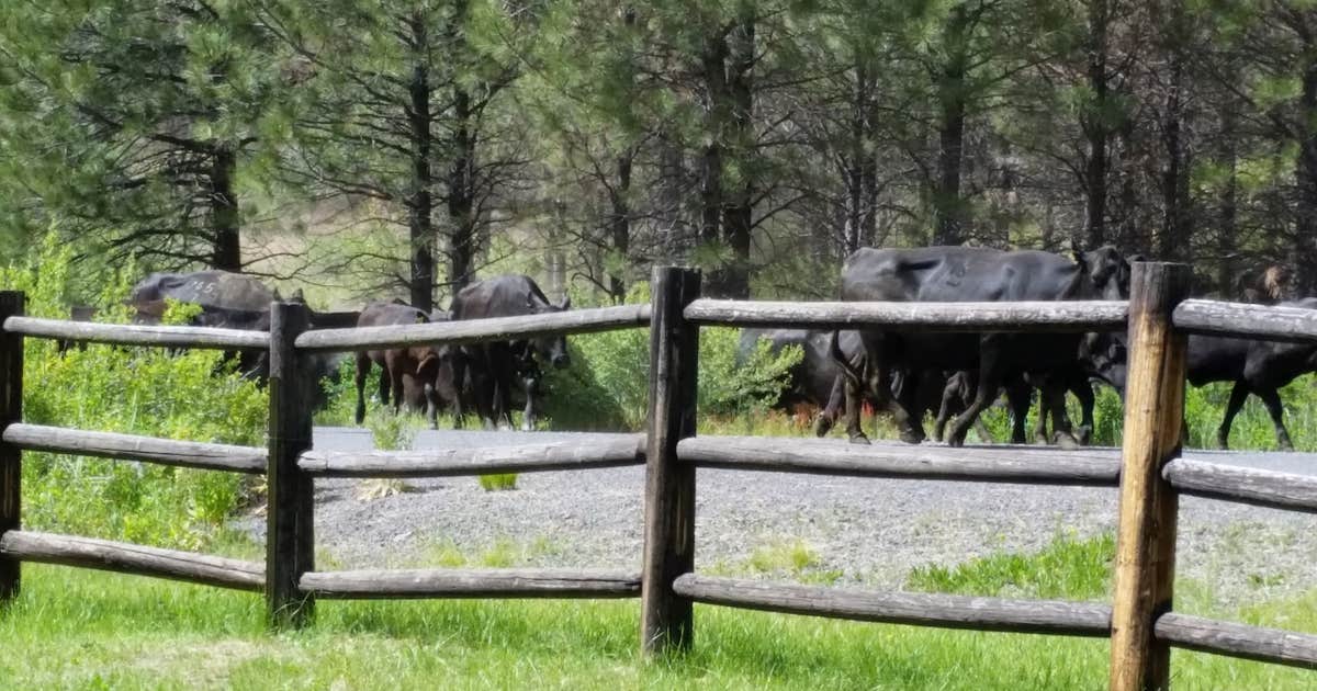 Oregon Mine Campground