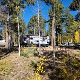 Review photo of DeMotte National Forest Campground by Cliff , October 4, 2021