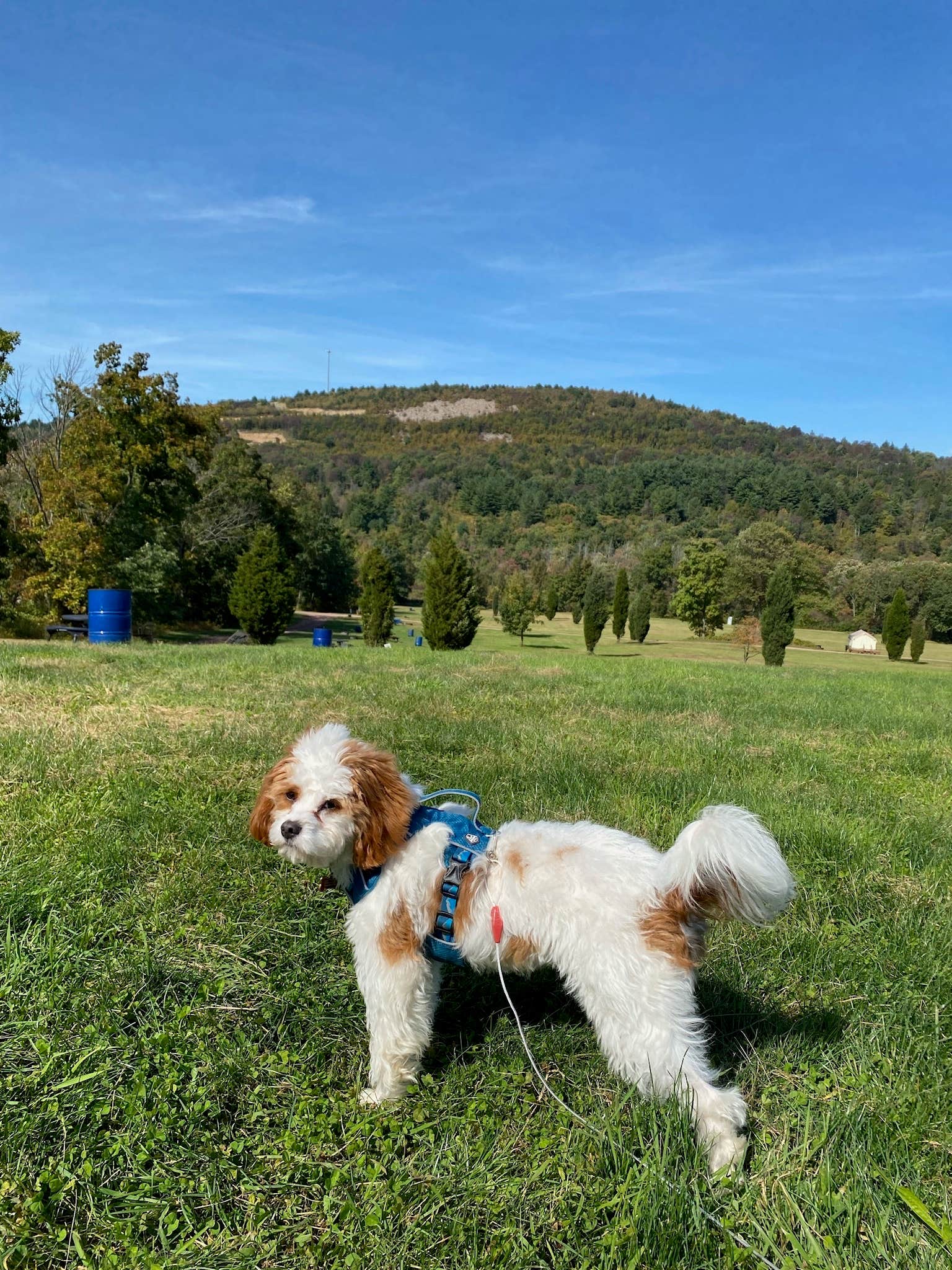 Camper-submitted photo at Blue Mountain RV and Camping Resort near Slatington, PA