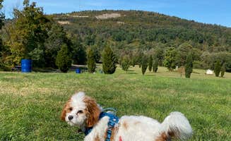 Rosanna C.'s photo of camping with pets at Blue Mountain RV and Camping Resort in Pennsylvania