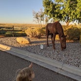 Review photo of High Desert RV Park by Heather , October 4, 2021