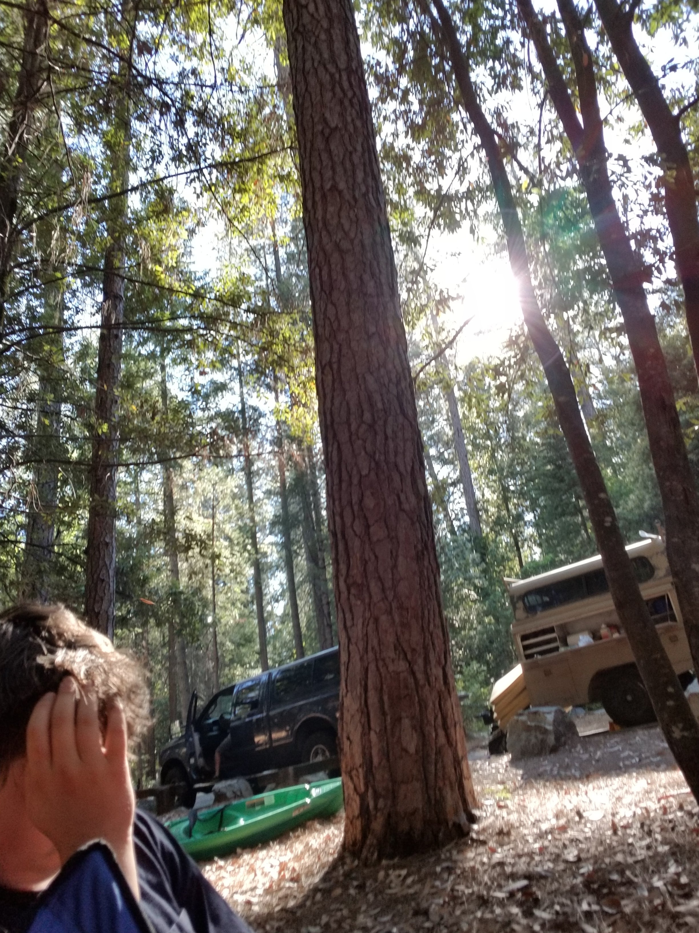 Camper submitted image from Schoolhouse Campground (CA) - 4